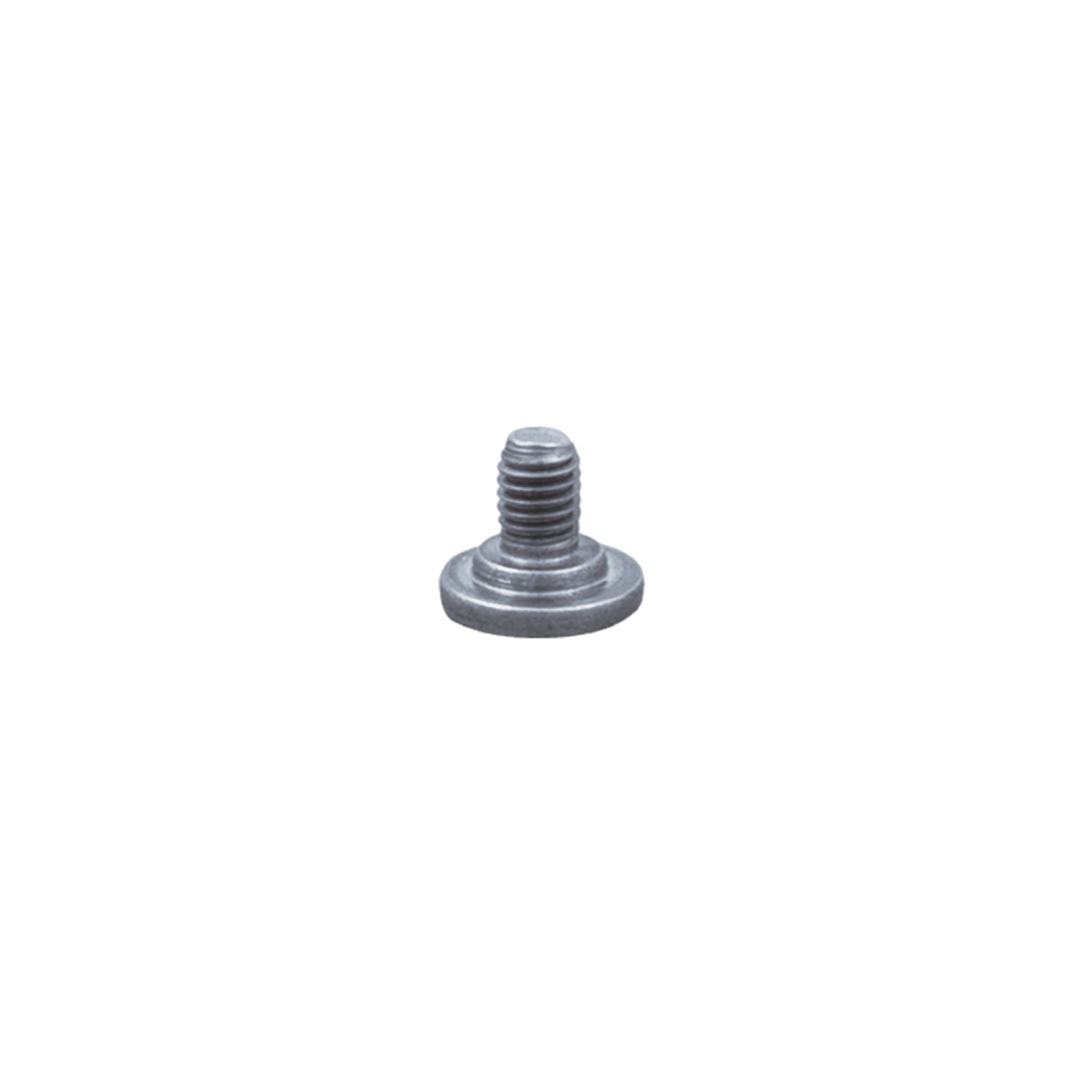 Fissler Vitaquick® from 2010 valve fixing screw - precision work for pressure cookers, stainless steel quality, on a white background.