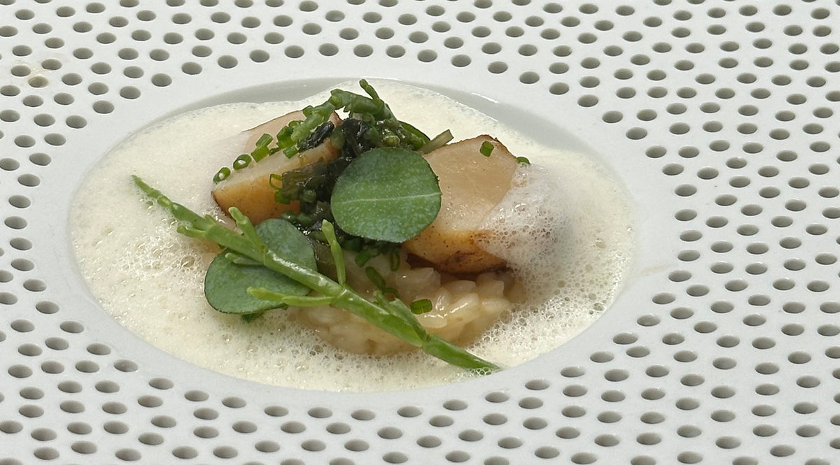 Gebratene Jakobsmuscheln ruhen auf cremigem Risotto, garniert mit Microgreens und zartem Schaum, kunstvoll angerichtet auf einem weißen Teller mit rundem Lochmuster – ein Beispiel für die Präzision und zeitlose Eleganz, die von Fisslers hochwertigem Edelstahl-Kochgeschirr inspiriert sind.