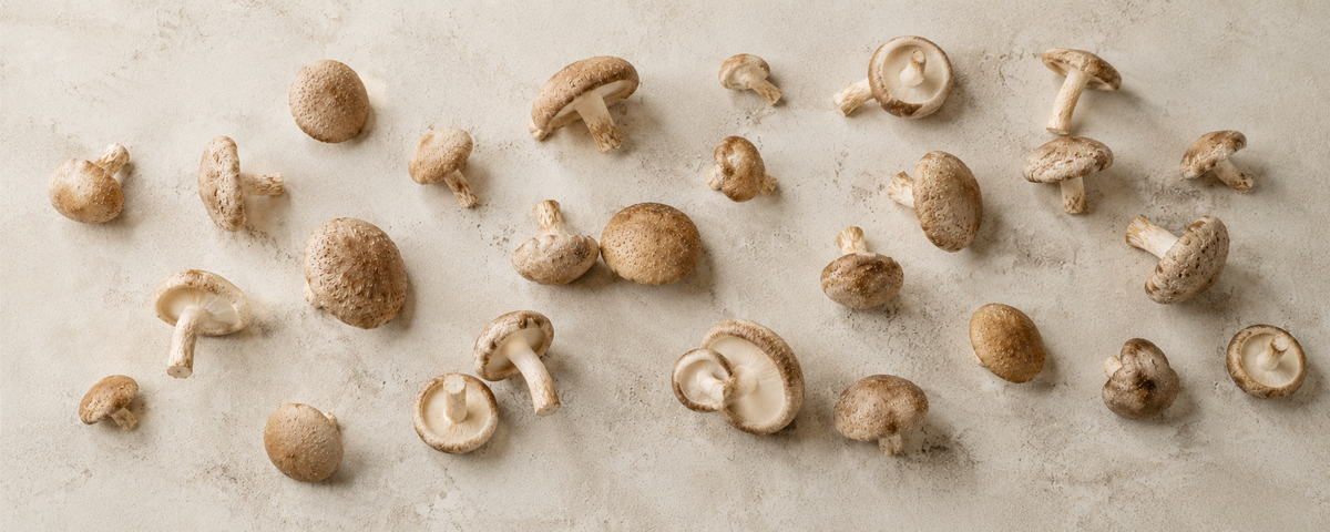 Eine Auswahl an ganzen braunen Champignons mit Stielen, kunstvoll auf einer sanft strukturierten beigen Oberfläche angerichtet – eine ideale Zutat für die Zubereitung außergewöhnlicher Gerichte mit dem hochwertigen Edelstahl-Kochgeschirr von Fissler, das seit 1845 für dauerhafte Leistungsfähigkeit und zeitloses Design entwickelt wird.
