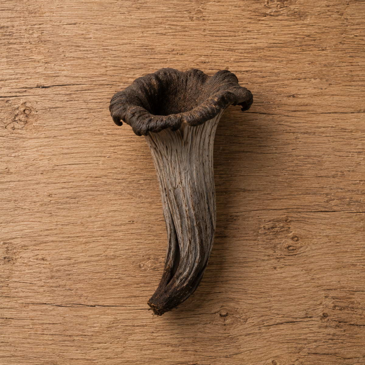 Ein einzelner schwarzer Trompetenpilz mit einem tiefen, trompetenförmigen Hut und einem grauen Stiel liegt auf einer Holzunterlage und strahlt kulinarische Präzision und natürliche Eleganz aus – ideal zum Kochen mit hochwertigem Fissler-Edelstahlgeschirr.