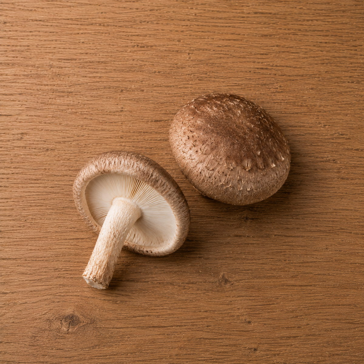 Zwei braune Shiitake-Pilze liegen auf einer Holzunterlage – der eine zeigt seine zart gefächerten Lamellen und seinen kräftigen Stiel, während der andere seine gewölbte Kappe präsentiert. Das in eleganter Schlichtheit aufgenommene Bild unterstreicht die Frische und die Qualität der Zutaten, die sich ideal für die Zubereitung raffinierter Gerichte mit dem präzisionsgefertigten Kochgeschirr von Fissler eignen.
